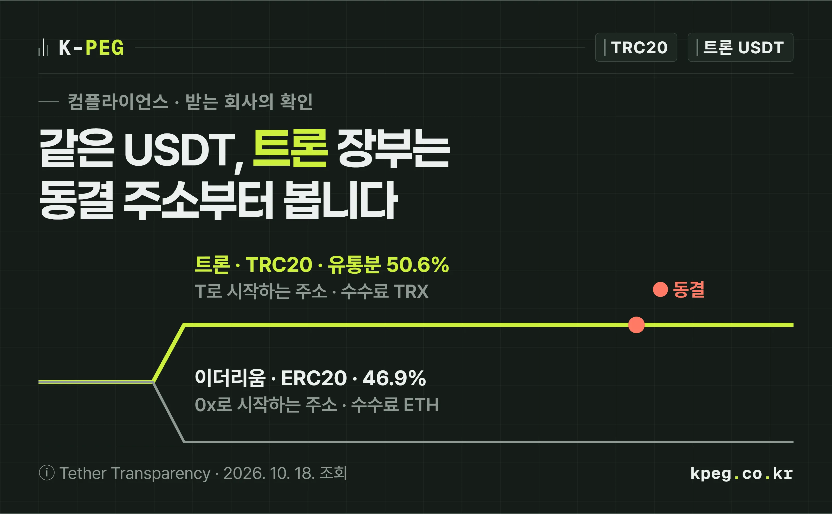 같은 USDT가 트론 장부와 이더리움 장부 두 줄로 갈라져 흐르는 표지. 트론 쪽 선 위에 동결 표시가 하나 찍혀 있고, 아래에 USDT TRC20은 트론 장부에 적힌 테더 USDT라는 설명이 붙어 있다.